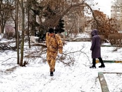 Волгодонцы устраняют последствия циклона: на общегородской субботник вышли более тысячи  горожан